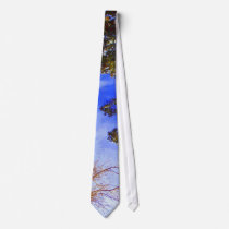 Winter Branches necktie
