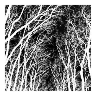 Winter branches poster