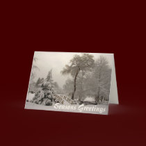 Winter Bridge Greeting Card Custom or Blank Card cards