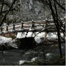 Winter Bridge Photo Cut Out