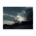 Winter Brilliance posters