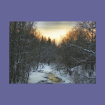 Winter Brook canvas prints