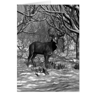 Winter Buck B/W Card by jasonmit