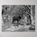 Winter Buck B/W posters
