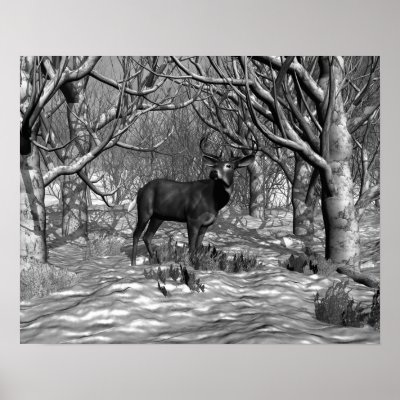 Winter Buck B/W Poster by jasonmit