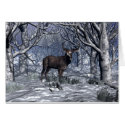 Winter Buck cards