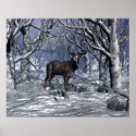 Winter Buck posters