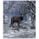 Winter Buck t-shirts
