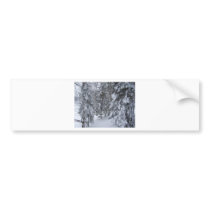 winter bumper stickers