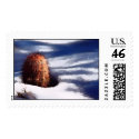 Winter Cactus (Stamps) by SophiaDeer Winter Cactus (Stamps)