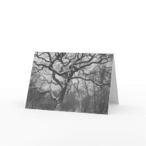 Winter cards