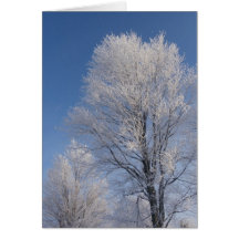 Winter Card