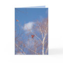 Winter Cardinals by MoiraAshleigh Winter Cardinals