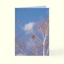 Winter Cardinals by MoiraAshleigh Winter Cardinals