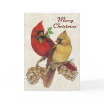 Winter Cardinals