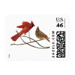 Winter Cardinals Holiday Stamp
