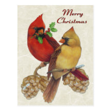 Winter Cardinals Post Card