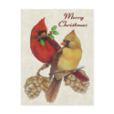 Winter Cardinals postcards by Memory_Lane Winter Cardinals postcards
