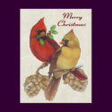 Winter Cardinals postcards