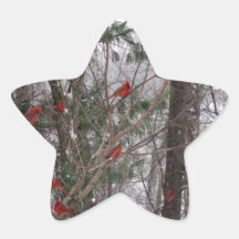 Winter Cardinals Star Sticker