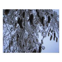 Winter Catapillars Personalized Invitation