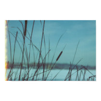 Winter Cattails posters