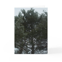 Winter Celebration Greeting Card
