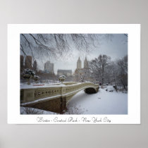 Winter - Central Park - New York City Print