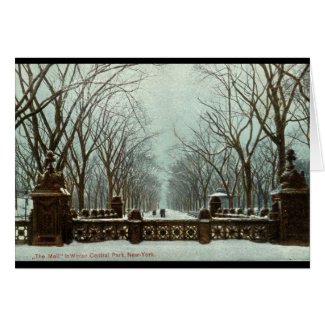 Winter Central Park NY Vintage c1910 card