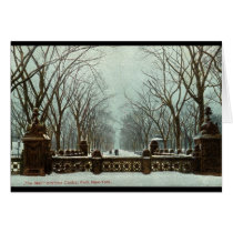 Winter Central Park NY Vintage c1910 Greeting Cards