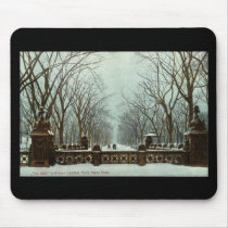 Winter Central Park NY Vintage c1910 Mouse Pad