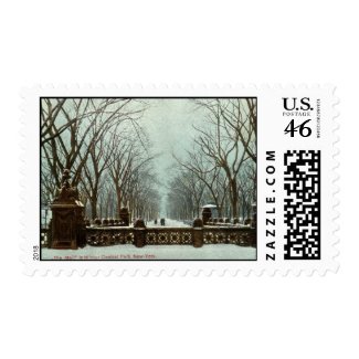 Winter Central Park NY Vintage c1910 stamp