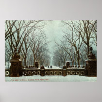 Winter Central Park NY Vintage c1910 Posters