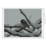 Winter Chickadee cards