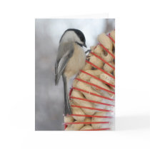 Winter Chickadee cards