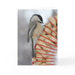 Winter Chickadee cards