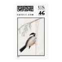 winter chickadee postage by Eye4birds winter chickadee postage