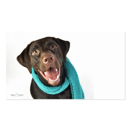 Winter Chocolate Lab Business Card Template (front side)