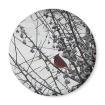 Winter Color Refrigerator Magnet