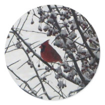 Winter Color Stickers