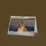 Winter Cougar