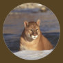 Winter Cougar