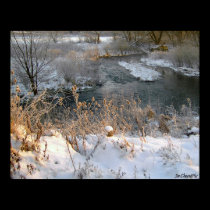 Winter Creekside posters
