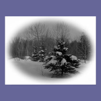 Winter Csene posters