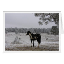 Winter Day cards