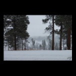 Winter Day Print posters