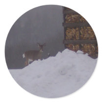 Winter Deer stickers