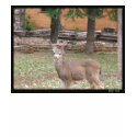 Winter Deer t-shirts by milkey_way Winter Deer t-shirts