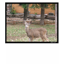 Winter Deer t-shirts by milkey_way Winter Deer t-shirts