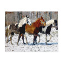 Winter Delight Postcard